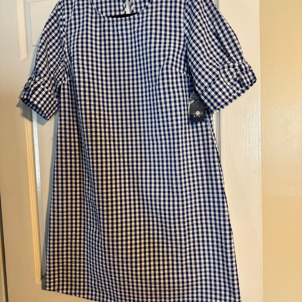 Crown & Ivy Blue and White Checkered Top